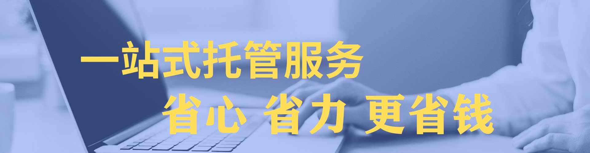 共青城竞价托管